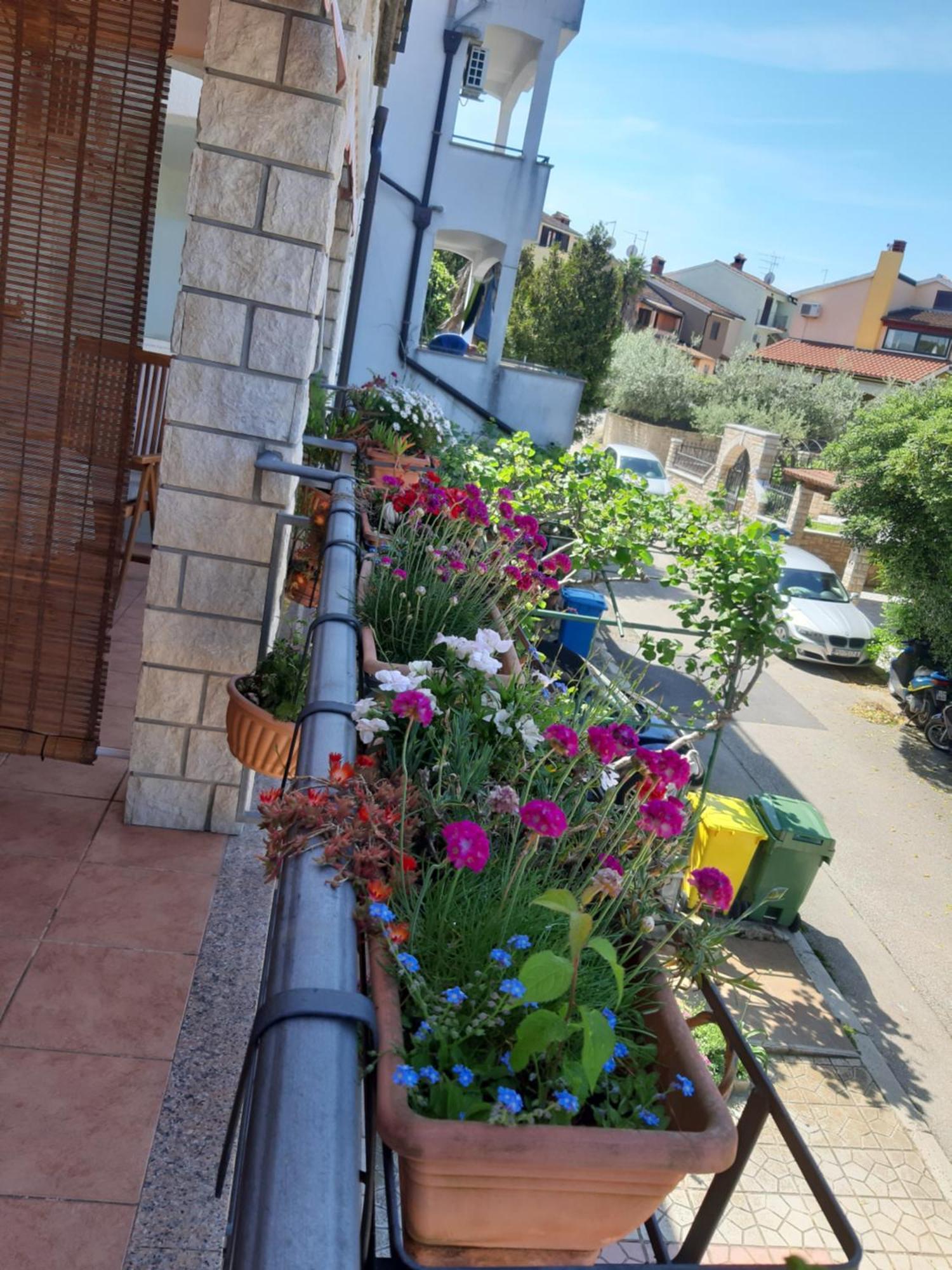 Adria Vrsar Apartment Exterior foto