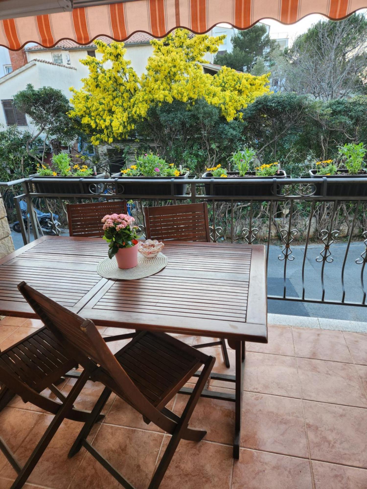 Adria Vrsar Apartment Exterior foto